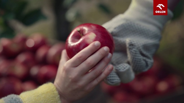 Video Reference: Head, Hand, Plant, Eye, Human body, Christmas ornament, Gesture, Natural foods, Finger, Apple