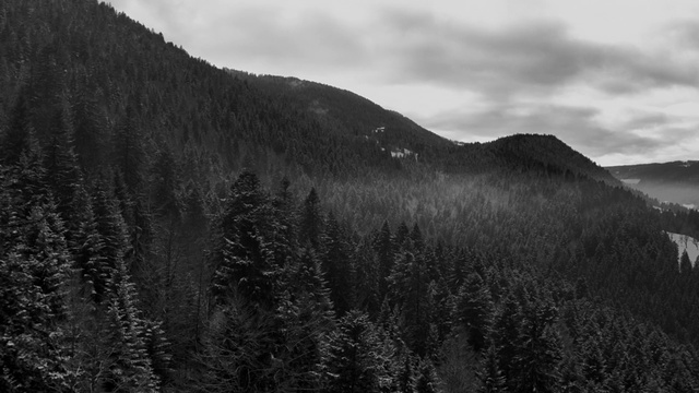 Video Reference: Cloud, Sky, Mountain, Natural landscape, Slope, Larch, Plant, Evergreen, Black-and-white, Terrain