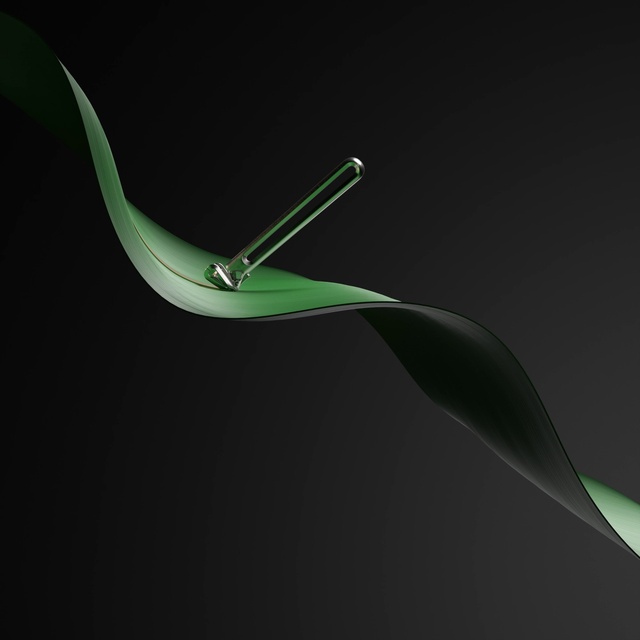 Video Reference: Water, Liquid, Terrestrial plant, Art, Pedicel, Flowering plant, Grass, Font, Graphics, Plant stem