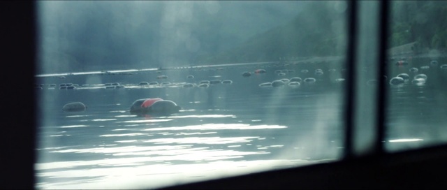 Video Reference: Water, Automotive lighting, Atmospheric phenomenon, Window, Air travel, Automotive mirror, Automotive exterior, Vehicle door, Windscreen wiper, Tints and shades