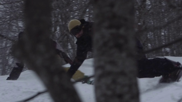 Video Reference: Bird, Automotive tire, Twig, Snow, Beak, Trunk, Freezing, Wood, Winter, Bird of prey
