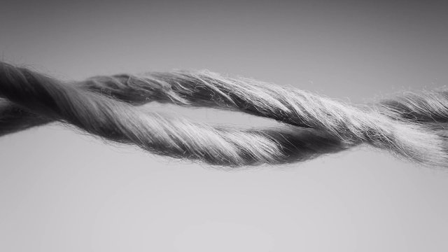 Video Reference: rope, cord, twisted, close-up, black and white, texture, fiber, line, abstract, background, hanging, woven, strand, macro