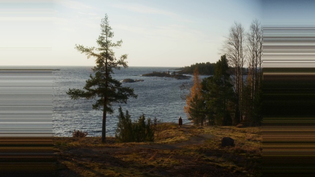 Video Reference: Sky, Water, Cloud, Plant, Ecoregion, Natural landscape, Branch, Wood, Land lot, Tree