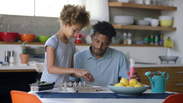 Video Reference: Table, Food, Tableware, Countertop, Dishware, Kitchen, Flowerpot, Cooking, Fruit, Kitchen utensil