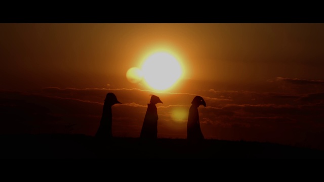 Video Reference: Sky, Atmosphere, Water, Ecoregion, People in nature, Afterglow, Cloud, Sunset, Dusk, Happy