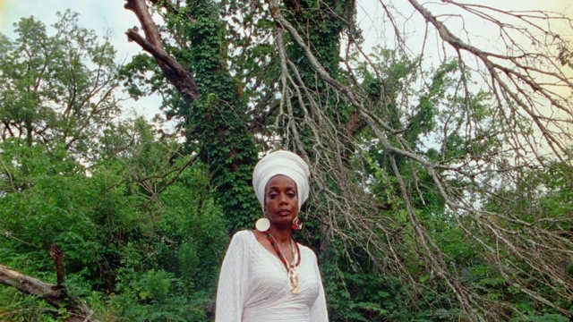 Video Reference: Temple, People in nature, Headgear, Tree, Twig, Terrestrial plant, Plant, Forest, Grass, Woodland