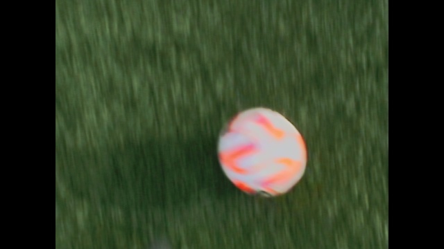 Video Reference: Petal, Balloon, Water, Sky, Circle, Grass, Event, Natural landscape, Astronomical object, Magenta