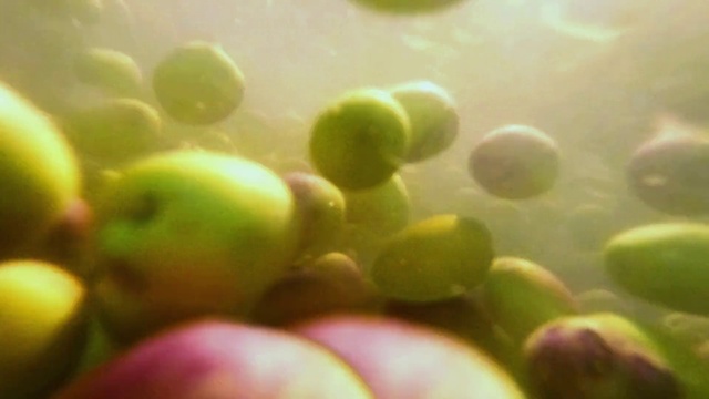 Video Reference: Plant, Food, Gesture, Terrestrial plant, Natural foods, Flowering plant, Fruit, Legume family, Produce, Close-up