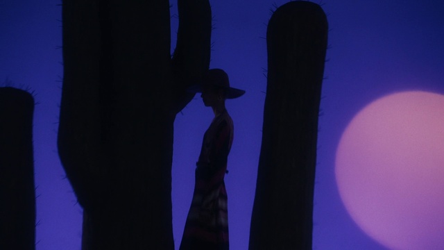 Video Reference: Atmosphere, Azure, Purple, Plant, Flash photography, Gesture, Headgear, Hat, Magenta, Tints and shades