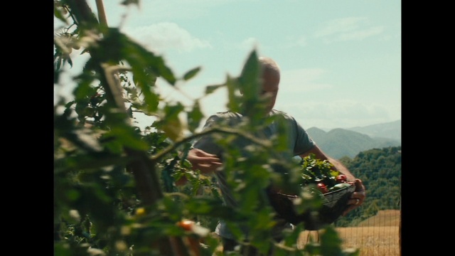 Video Reference: Sky, Military camouflage, Cloud, Plant, Military uniform, Military person, Organism, People in nature, Soldier, Marines