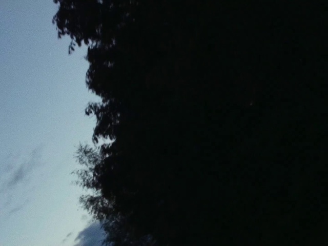 Video Reference: Cloud, Sky, Twig, Tints and shades, Natural landscape, Midnight, Electric blue, Cumulus, Space, Wood