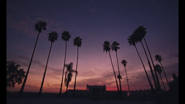 Video Reference: Cloud, Sky, Atmosphere, Afterglow, Plant, Arecales, Tree, Dusk, Sunrise, Red sky at morning