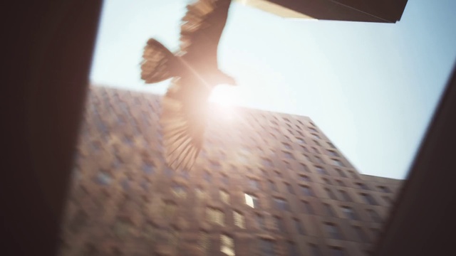 Video Reference: Atmosphere, Sky, Building, Gesture, Sunlight, Cloud, Wall, Tower block, Tints and shades, Lens flare