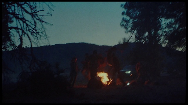 Video Reference: Sky, Tree, Mountain, Natural landscape, Plant, Bonfire, Heat, Wood, Landscape, Tints and shades