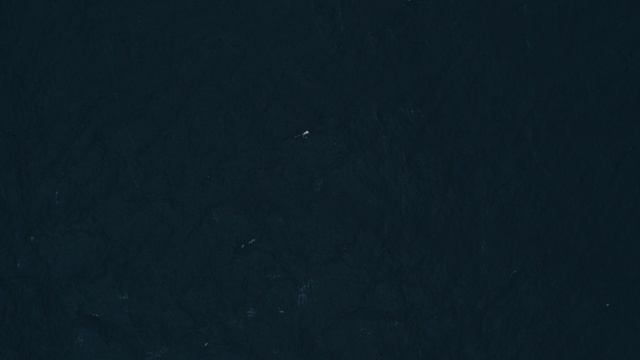 Video Reference: Astronomical object, Electric blue, Star, Science, Sky, Water, Darkness, Midnight, Astronomy, Celestial event