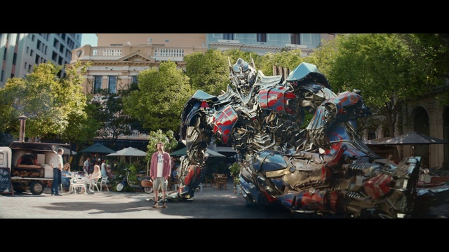 Video Reference: Motor vehicle, Plant, Automotive tire, Tree, Wheel, Asphalt, Building, Tire, Working animal, Art