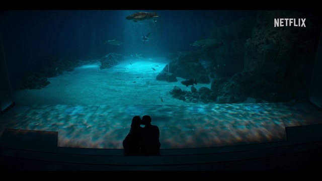 Video Reference: Water, Azure, Organism, Underwater, Electric blue, Display device, Entertainment, Darkness, Marine biology, Event