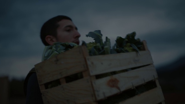 Video Reference: Cloud, Sky, Plant, Military camouflage, Soldier, Military uniform, Army, Military organization, Military person, Landscape