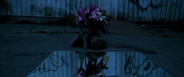 Video Reference: Flower, Plant, Water, Purple, Petal, Vegetation, Terrestrial plant, Wood, Grass, Road surface