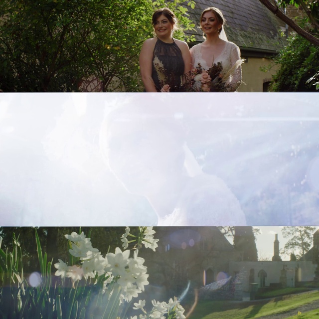 Video Reference: Plant, Photograph, Property, White, Green, Light, Botany, Nature, Grass, People in nature