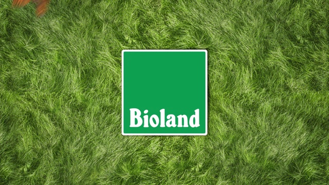 Video Reference: Ecoregion, Plant, Rectangle, Natural landscape, Natural environment, Land lot, Font, Vegetation, Terrestrial plant, Grass