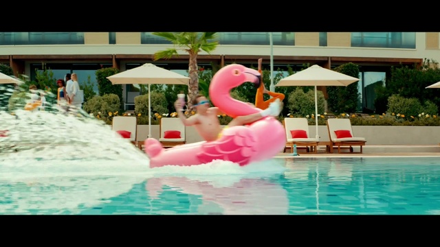 Video Reference: Water, Plant, Waterfowl, Leisure, Ducks, geese and swans, Aqua, Swimming pool, Tree, Recreation, Fun