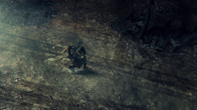 Video Reference: Wood, Road surface, Asphalt, Grass, Tints and shades, Art, Darkness, Soil, Terrestrial animal, Landscape