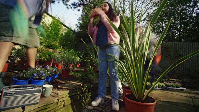 Video Reference: Plant, Jeans, Flowerpot, Tree, Botany, Houseplant, Vegetation, Grass, Terrestrial plant, Flower