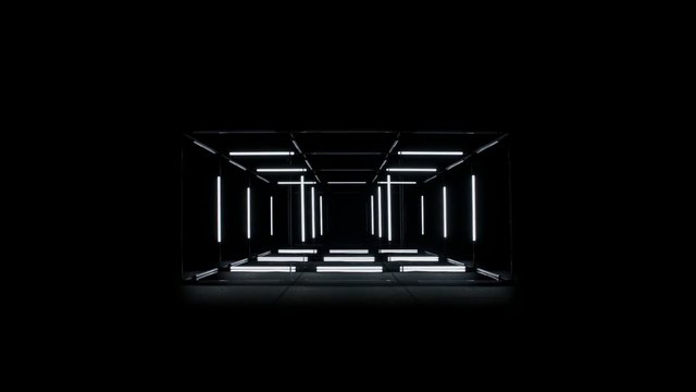 Video Reference: abstract, tunnel, corridor, geometric, symmetry, neon, light bars, dark background, futuristic, minimalist, interior, installation, perspective