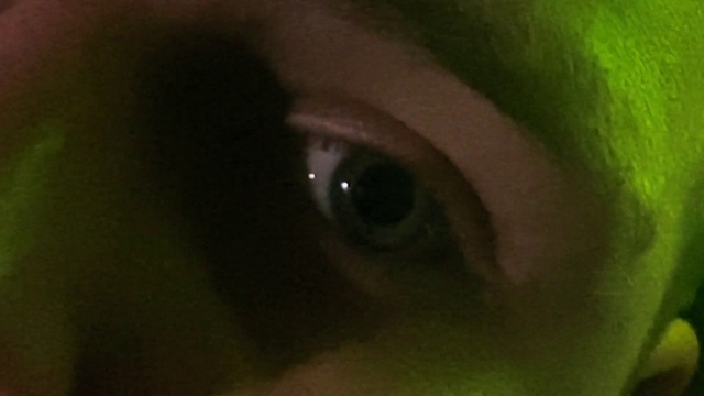 Video Reference: Head, Eye, Eyelash, Human body, Ear, Iris, Whiskers, Terrestrial plant, Snout, Macro photography