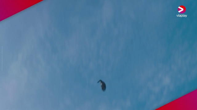 Video Reference: Cloud, Sky, Atmosphere, Daytime, Azure, Bird, Parachute, Air travel, Cumulus, Red