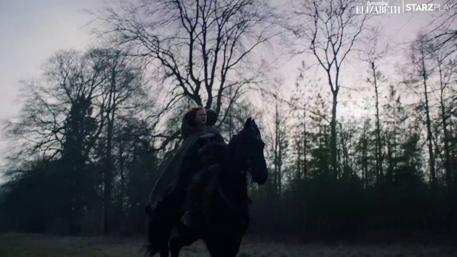 Video Reference: Sky, Atmosphere, Plant, Tree, Natural landscape, Wood, Working animal, Sunlight, Trunk, People in nature