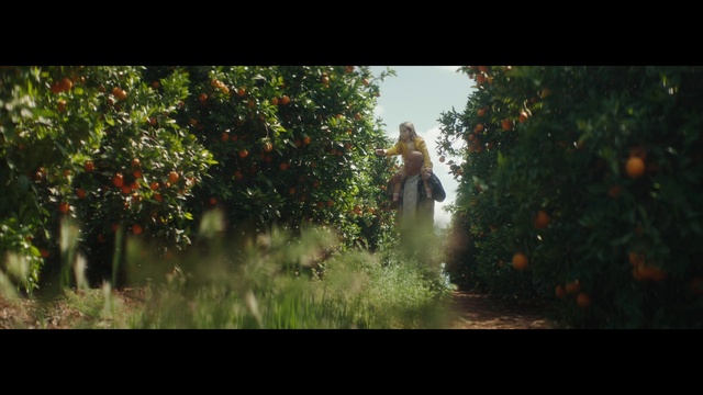 Video Reference: Plant, Atmosphere, People in nature, Sky, Branch, Natural landscape, Lighting, Sunlight, Grass, Atmospheric phenomenon