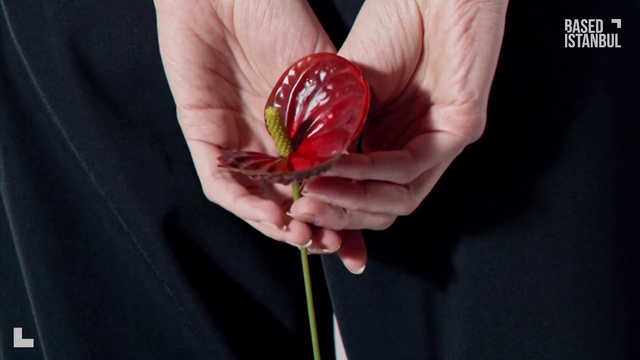 Video Reference: Flower, Plant, Hand, Leg, Petal, Finger, Rose, Nail, Pedicel, Flowering plant