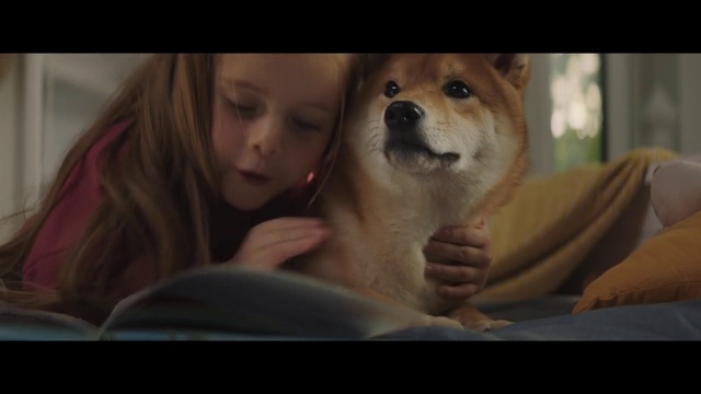 Video Reference: Nose, Dog, Mouth, Carnivore, Dog breed, Gesture, Fawn, Companion dog, Happy, Comfort