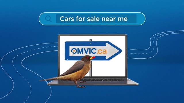 Video Reference: Bird, Output device, Rectangle, Line, Font, Parallel, Laptop, Electric blue, Personal computer, Triangle