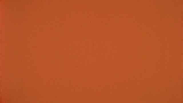 Video Reference: Brown, Amber, Orange, Peach, Font, Tints and shades, Pattern, Magenta, Event, Carmine
