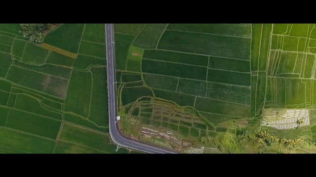 Video Reference: Slope, Grass, Urban design, Rectangle, Landscape, Tints and shades, Terrestrial plant, Map, Grassland, Pattern