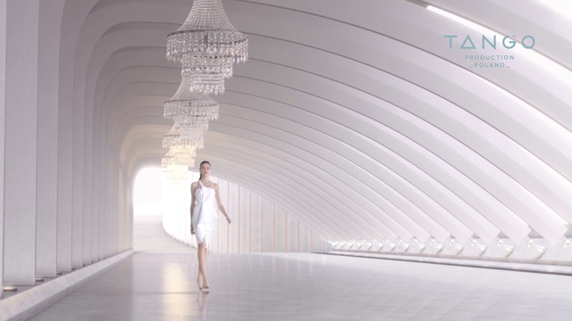 Video Reference: Flash photography, Flooring, Fashion design, Art, Symmetry, Event, Design, Arch, Performing arts, Ceiling