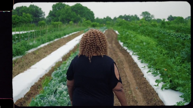 Video Reference: Plant, People in nature, Nature, Grass, Sky, Happy, Adaptation, Rural area, Rectangle, Tints and shades