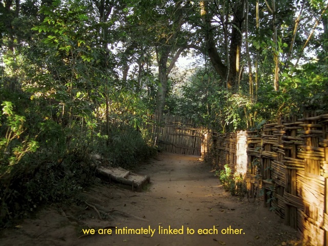 Video Reference: Plant, Natural landscape, Tree, Terrestrial plant, Grass, Wood, Landscape, Fence, Forest, Road