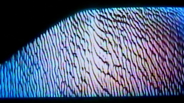 Video Reference: Window, Television set, Gadget, Output device, Tree, Font, Tints and shades, Rectangle, Electric blue, Display device