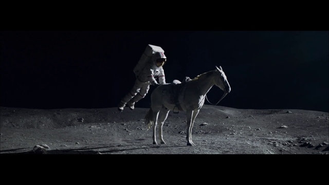 Video Reference: Horse, Working animal, Flash photography, Dog breed, Art, Pack animal, Mane, Livestock, Sky, Mare