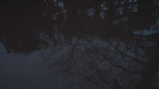 Video Reference: Wood, Twig, Tints and shades, Freezing, Darkness, Event, Natural landscape, Midnight, Electric blue, Landscape