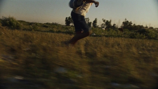 Video Reference: Sky, Plant, Tree, Grass, Grassland, People in nature, Landscape, Recreation, Prairie, Happy