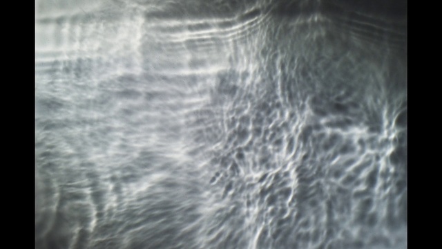 Video Reference: Water, Grey, Wood, Pattern, Liquid, Darkness, Monochrome photography, Monochrome, Wind wave, Fur