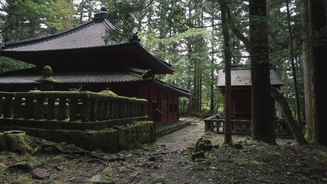 Video Reference: Plant, Tree, Wood, Vegetation, Natural landscape, House, Building, Grass, Trunk, Landscape