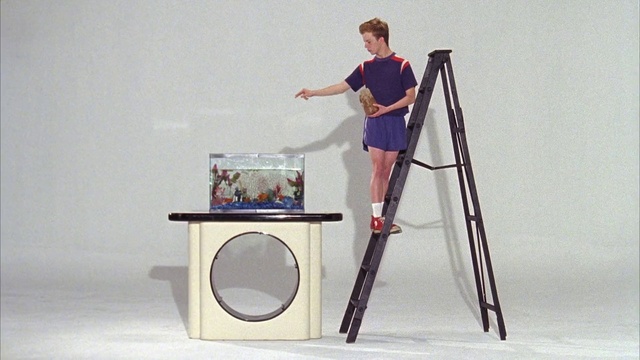 Video Reference: Shorts, Art, Bicycle frame, Bicycle fork, Ladder, Bicycle part, Balance, Knee, Electric blue, Paint