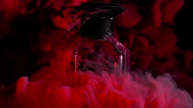 Video Reference: Petal, Textile, Purple, Pink, Red, Magenta, Tree, Flower, Feather, Art