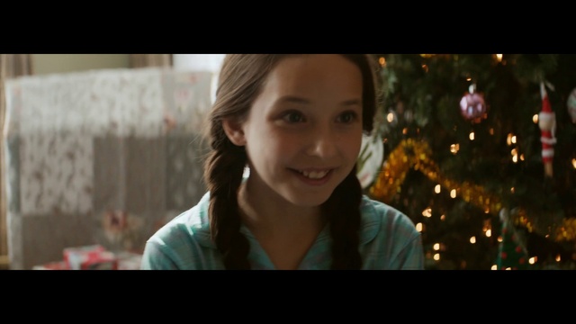 Video Reference: Chin, Smile, Flash photography, Happy, Iris, Christmas ornament, Fun, Event, Brown hair, Ornament